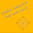 Hidden labyrinth - find and catch