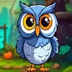 Owl Catcher